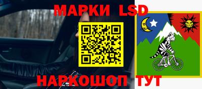 spice Камышлов