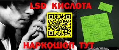 spice Камышлов