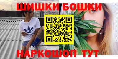spice Камышлов