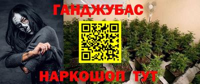 spice Камышлов