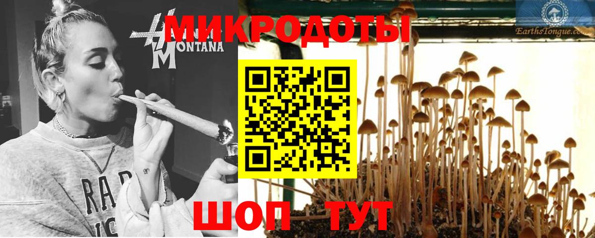 Галлюциногенные грибы Cubensis  Галлюциногенные грибы Psilocybe  Ржев  Вход с VPN 